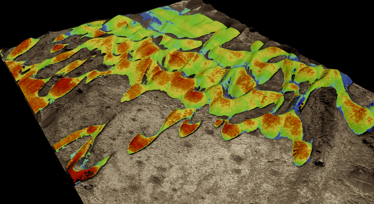 Sand Dunes on Mars Are Surprisingly Speedy
